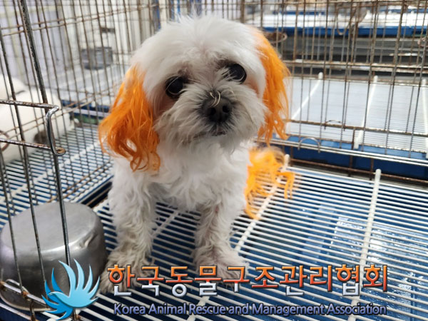 한국동물구조관리협회_411318202300541